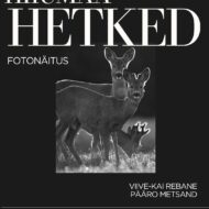 Hiiumaa hetked insta