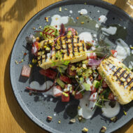 Tuuletorni kohvik Ruudi suvine menüü-54